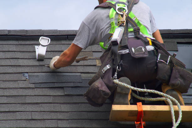 Best Roof Insulation Installation  in Hartford, MI