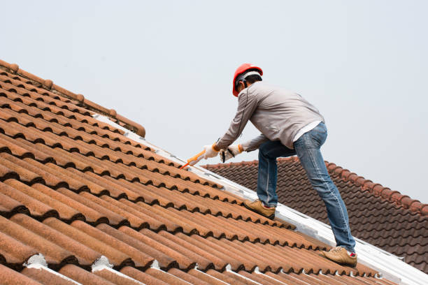 Best Rubber Roofing (EPDM, TPO)  in Hartford, MI